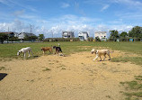 Barnegat Light Dog Park