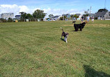 Barnegat Light Dog Park