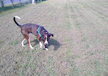 Barnegat Light Dog Park