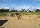 Barnegat Light Dog Park