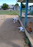 Barnegat Light Dog Park