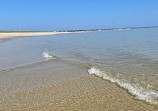 Scusset Beach State Reservation