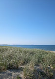 Scusset Beach State Reservation