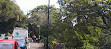 Bournemouth Gardens