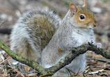 Bournemouth Gardens