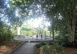 Brisbane City Botanic Gardens Playground