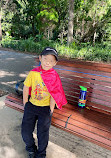 Brisbane City Botanic Gardens Playground