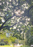 Brisbane City Botanic Gardens Playground