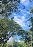 Brisbane City Botanic Gardens Playground