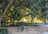 Brisbane City Botanic Gardens Playground