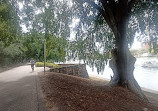 Brisbane City Botanic Gardens Playground