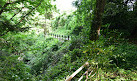 Tohoku University Botanical Gardens