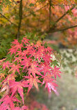 Tohoku University Botanical Gardens