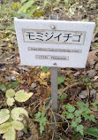 Tohoku University Botanical Gardens