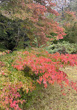 Tohoku University Botanical Gardens