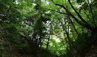 Tohoku University Botanical Gardens