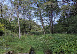 Tohoku University Botanical Gardens