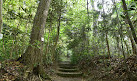 Tohoku University Botanical Gardens