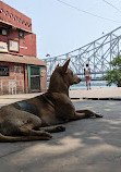 Chotelal Ghat