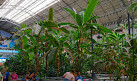 Atocha Tropical Garden