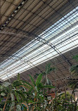 Atocha Tropical Garden