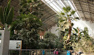 Atocha Tropical Garden