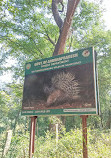 Talakona Waterfall