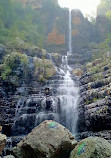 Talakona Waterfall