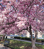 Rawlins Park