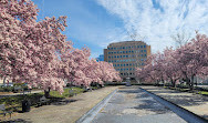 Rawlins Park