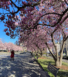 Rawlins Park