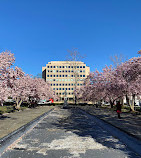 Rawlins Park