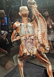 BODY WORLDS Amsterdam