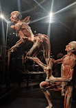 BODY WORLDS Amsterdam