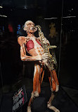 BODY WORLDS Amsterdam