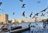 Dubai Old Souq Marine Transport Station