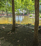 Southwest Duck Pond