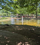 Southwest Duck Pond