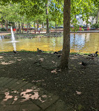 Southwest Duck Pond