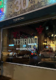 Terroni