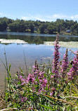 Lake Kenosia Park