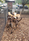 Rumbrook Park East Dog Park