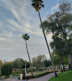 Mushrif Park