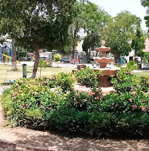 Roomi Park