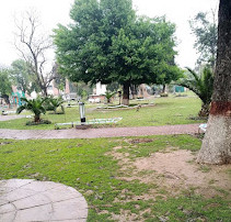 Roomi Park