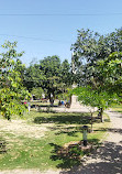 Roomi Park