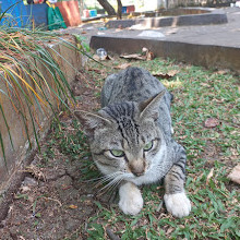 Cibinong Lakeside Park