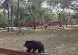 Nehru Zoological Park Hyderabad