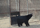 Nehru Zoological Park Hyderabad