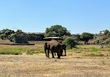 Nehru Zoological Park Hyderabad